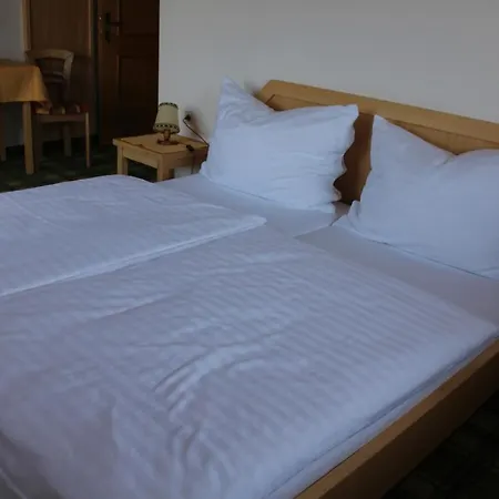 Haus Aster Guest house Wagrain
